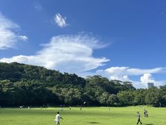 -莲花山公园