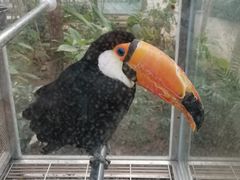 -南宫五洲植物乐园