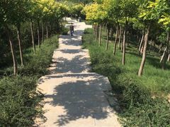 -河北省园博园