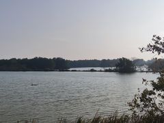 -大湾区中央湿地公园