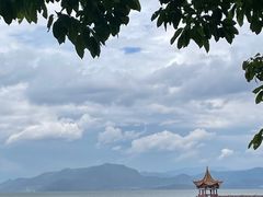 -洱海月湿地公园