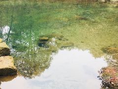 -南京市无想山景区