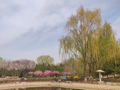 -东升八家郊野公园
