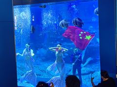 -石林冰雪海洋世界