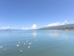 -青海湖国家重点风景名胜区