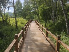 -御道口草原森林风景区