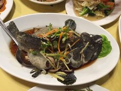 老虎斑-真浪花园海鲜餐馆