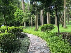 -云溪植物园