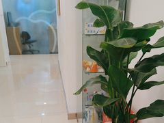 -上海康怡口腔门诊部Alpha Dental