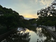 -江心屿景区