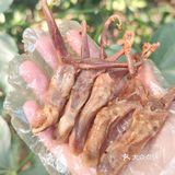 上海探店｜绝味的招牌鸭舌完全停不下来‼️‼️
