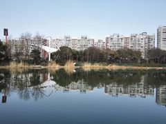 -新江湾城公园