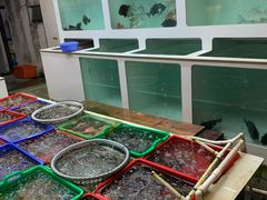 水产区-南蚝小贝海鲜特色餐厅(南澳岛店)