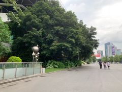 -天河体育中心