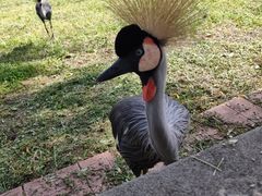 -哈尔滨北方森林动物园