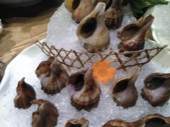 -尚海豆捞(乐虹坊店)