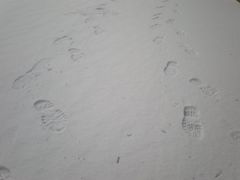 -周口市第四初级中学