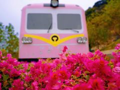 -小南山公园