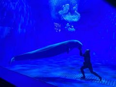 -多彩贵州城极地海洋世界