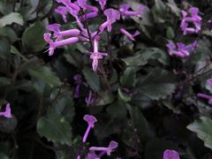 -白鹭洲公园