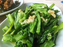 -鲤鱼塘农家山庄