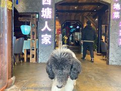 -西塘人家•黑金冠本地好店
