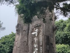-青青世界