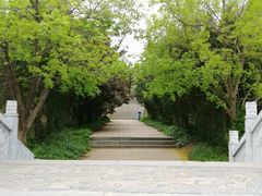 -瑞安圣井山景区