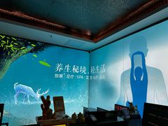 -道合堂·中式按摩·spa(民治店)