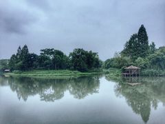 -杭州西溪宾馆-松露西餐厅
