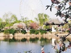 -无锡蠡湖国家湿地公园-蠡园