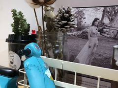 -白日梦奶茶