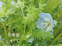 -保利石象湖景区