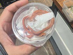 -酷以爬仙阁实体爬宠店·守宫·蜥蜴·专业繁育