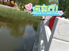 -武清南湖绿博园