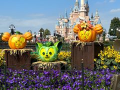 -上海迪士尼度假区