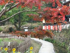 -塔川景区