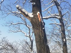 -终南山南五台景区