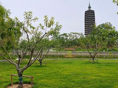 -西海子公园