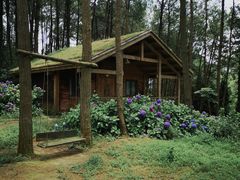 -重庆雨台山风景区