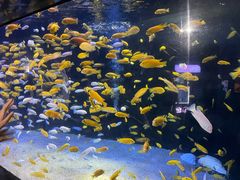 -成都浩海立方海洋公园
