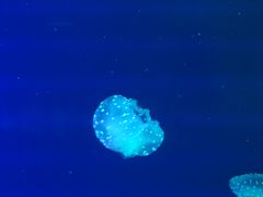 -福州罗源湾海洋世界旅游区