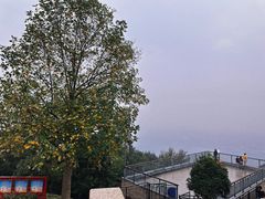 -紫金山山顶公园