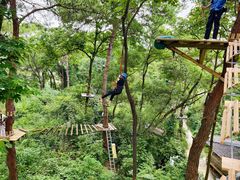 -芦仙山景区-飞越丛林探险乐园