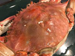 -浩运海鲜·16年专注青岛菜(石老人店)