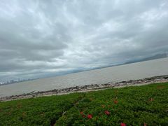 -深圳湾公园(南山区)