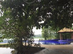 湖景西餐厅-白云湖畔酒店-湖畔餐厅