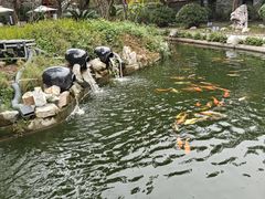 -李小龙乐园(顺德均安店)