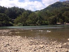 楠溪江-楠溪江风景名胜区