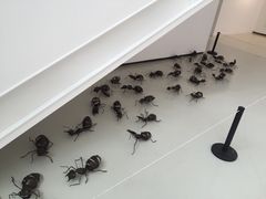 -四川美术学院美术馆